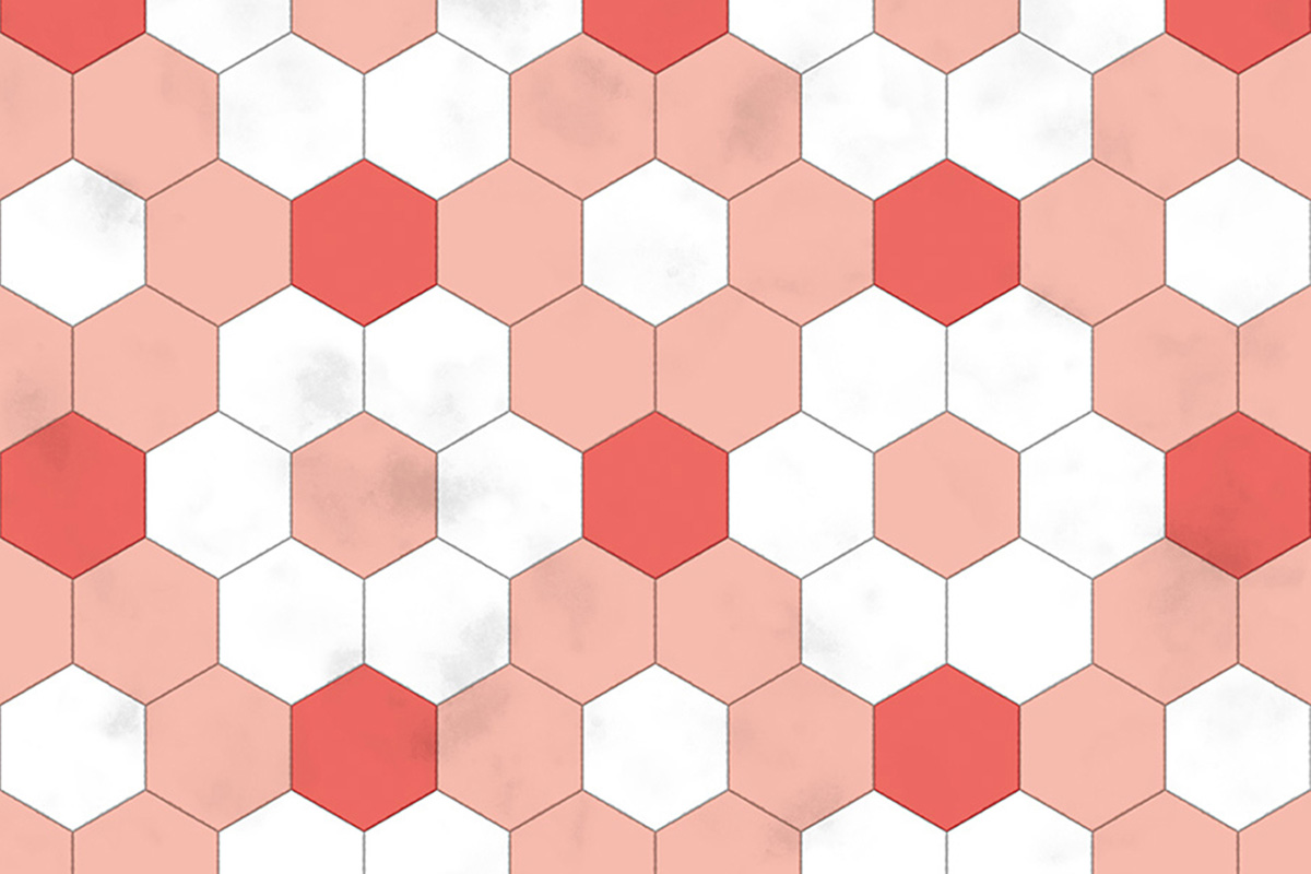 Altro Orchestra Custom disegni