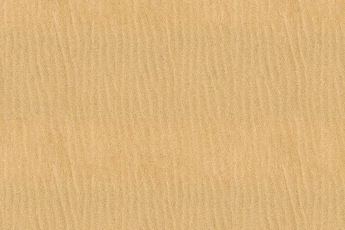 Altro Orchestra Custom disegni