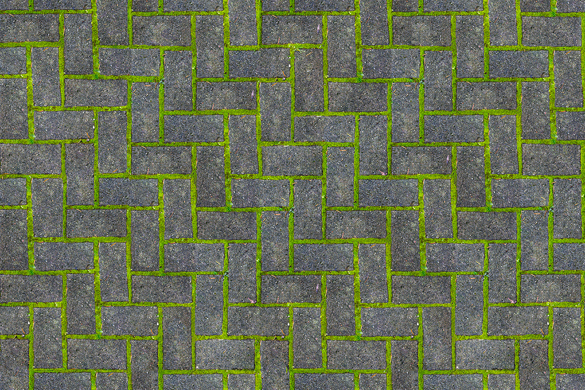 Altro Orchestra Custom disegni