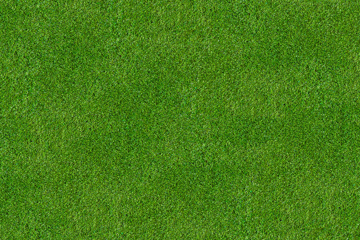 Altro Orchestra Custom disegni