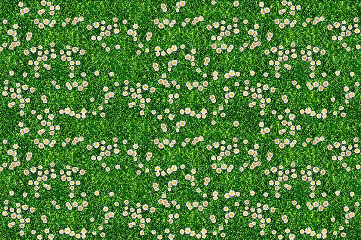 Altro Orchestra Custom disegni