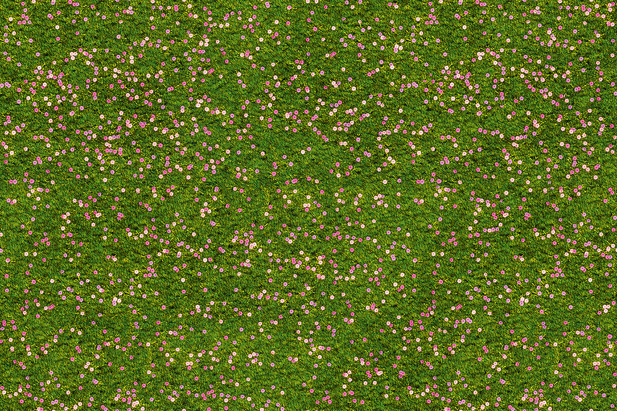 Altro Orchestra Custom disegni