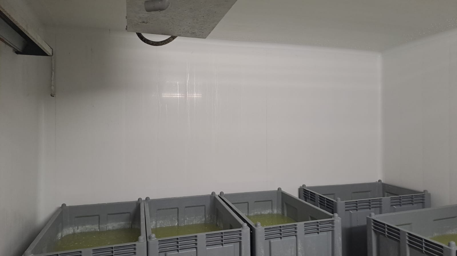 Caseificio Pareti e soffitto 2