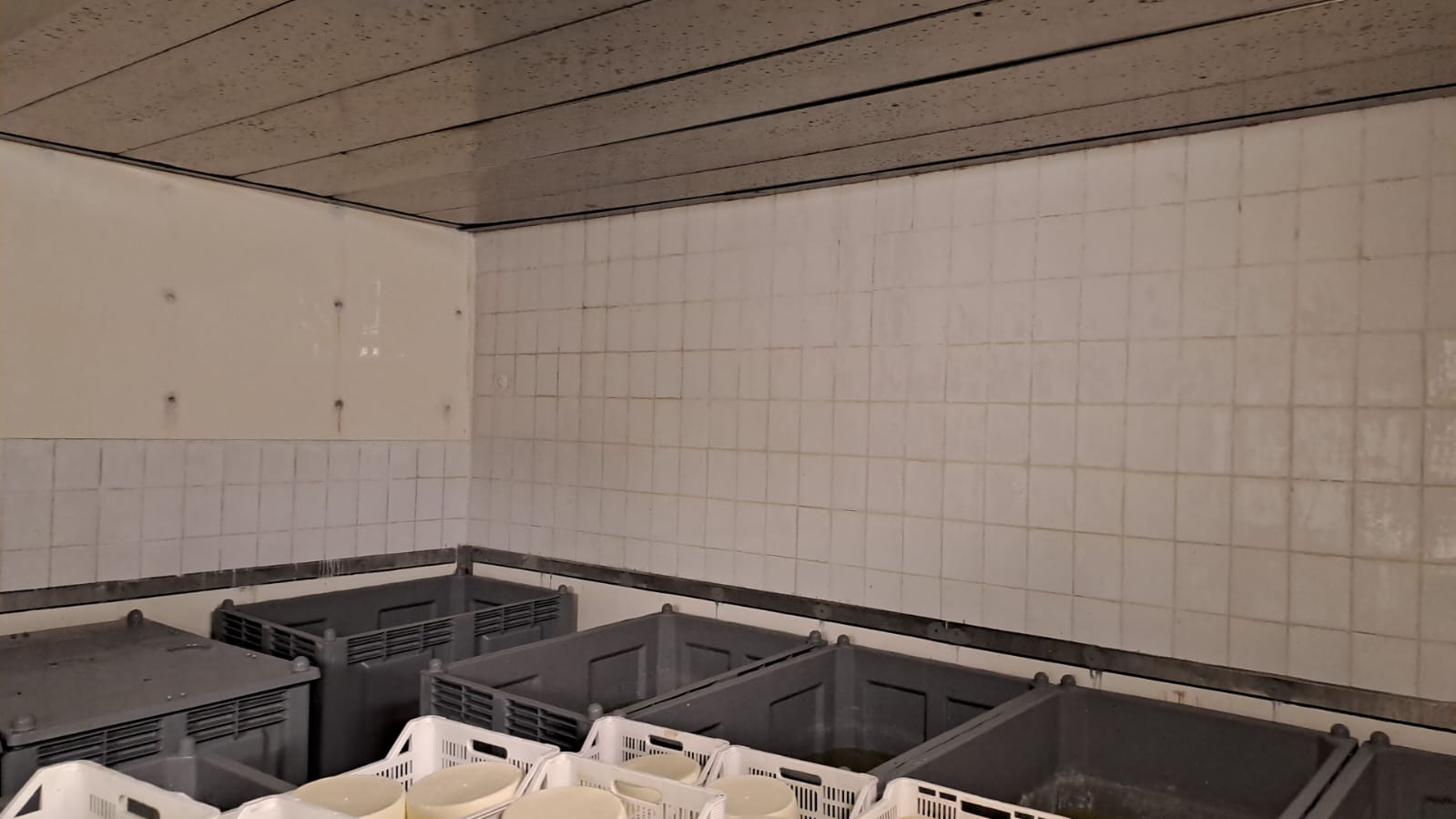 Caseificio Pareti e soffitto prima 3