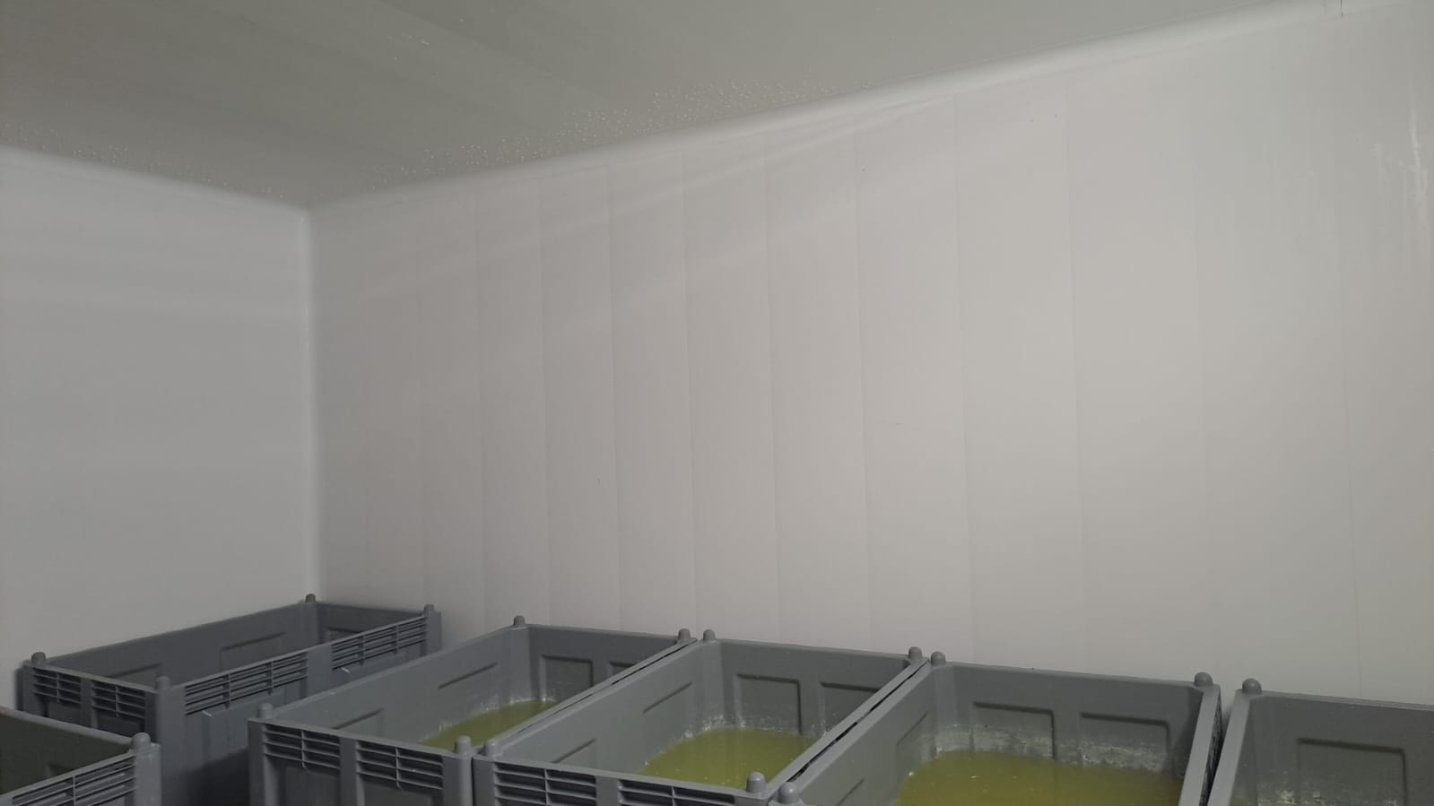 Caseificio pareti e soffitto dopo 3